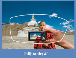 Calligraphy AF